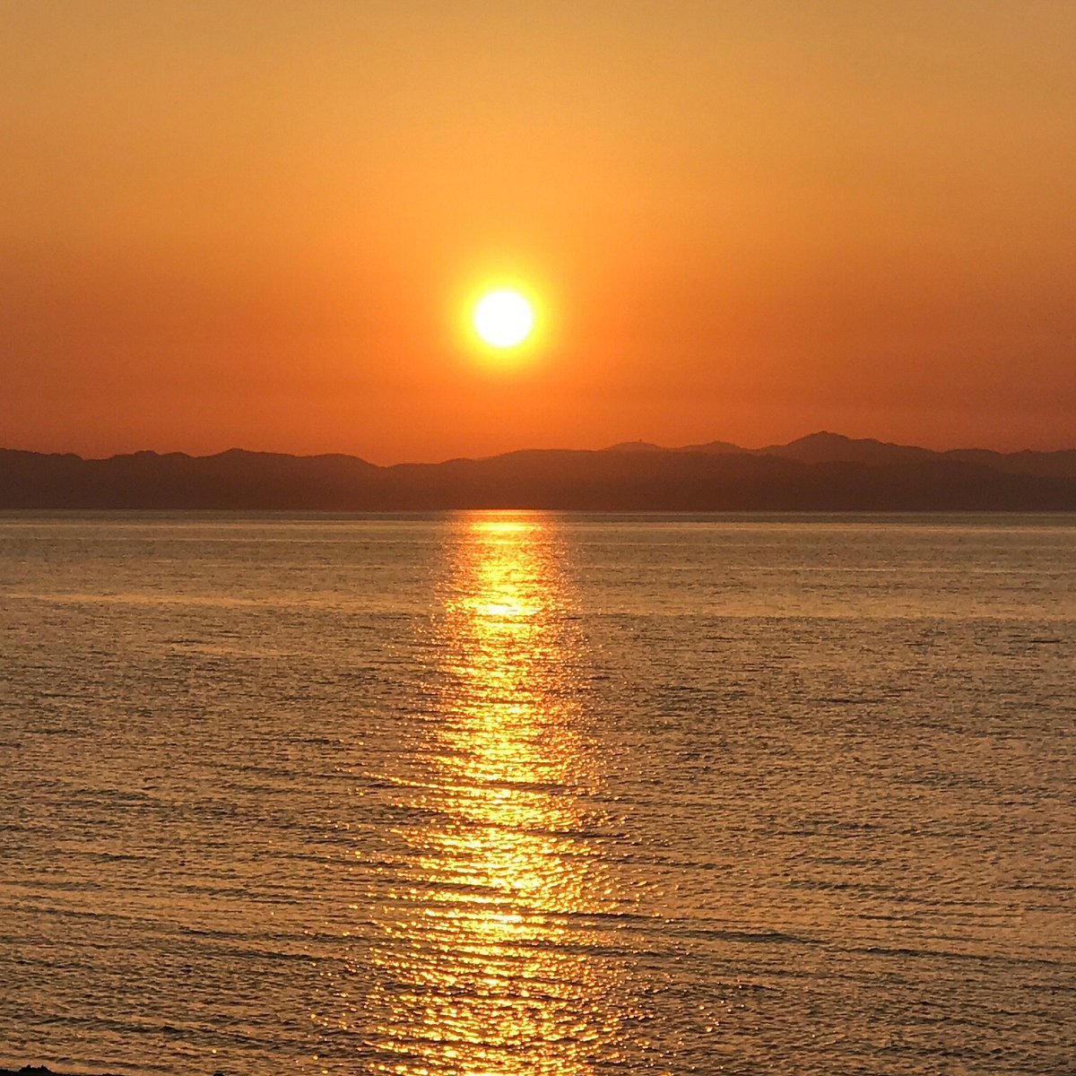 🏞️ 니시카이간 공원(백조곶 서해안 공원) 이미지 7